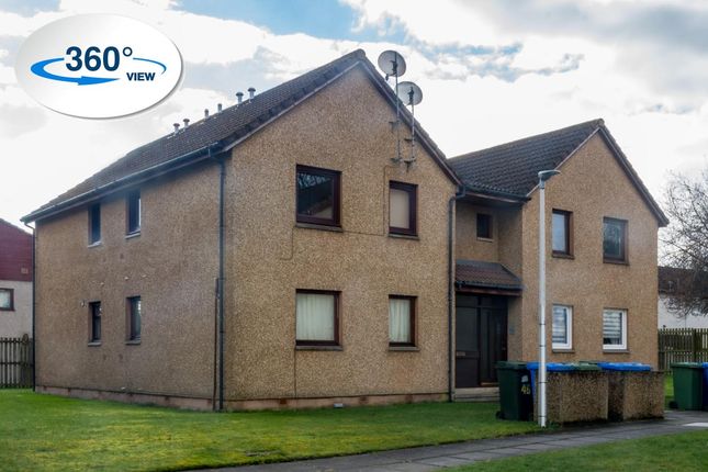 Thumbnail Studio to rent in Hilton Crescent, Inverness