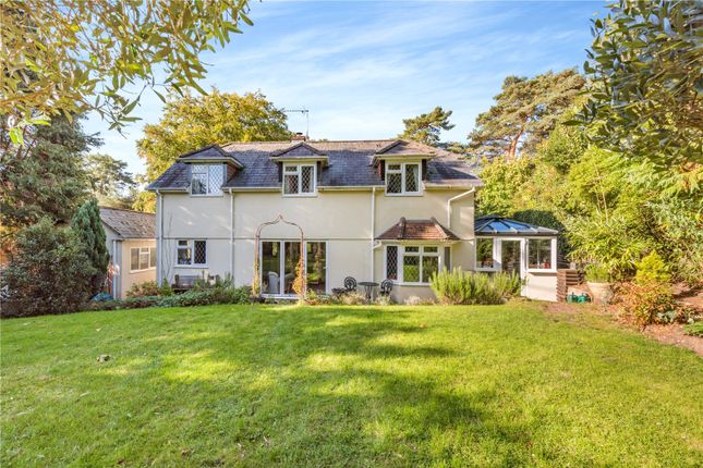 Detached house for sale in Aveley Lane, Farnham, Surrey