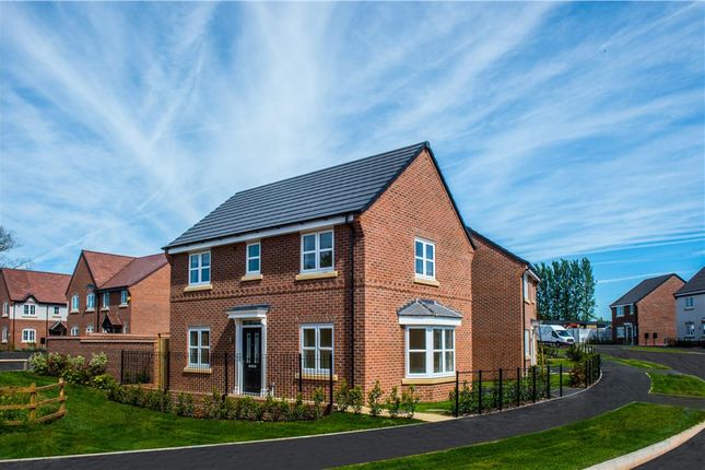 Thumbnail Detached house for sale in "Stanton" at Starflower Way, Mickleover, Derby