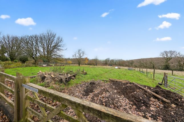Las-Fach,, Llanddowror, St Clears, Carmarthen photo 2