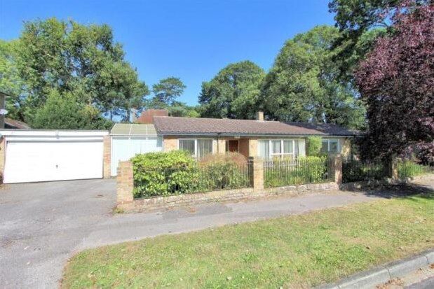 Thumbnail Detached bungalow to rent in Hare Hill Close, Woking