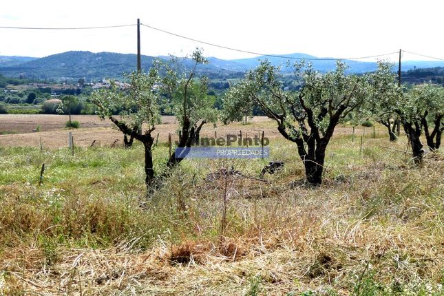Thumbnail Farm for sale in 3Ha Agricultural Land, With 2 Houses, Belmonte E Colmeal Da Torre, Belmonte, Castelo Branco, Central Portugal
