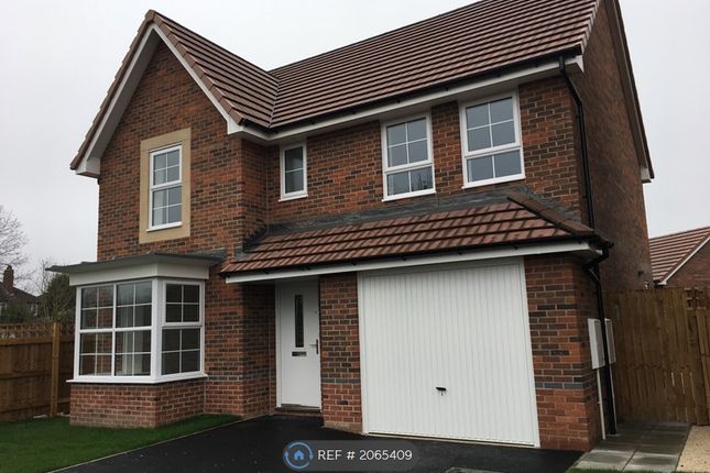 Thumbnail Detached house to rent in Rovers Way, Doncaster