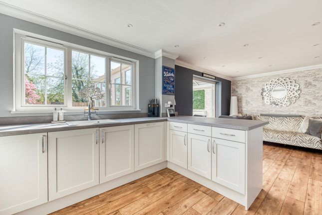 11 Cranes Meadow, Harleston photo 4