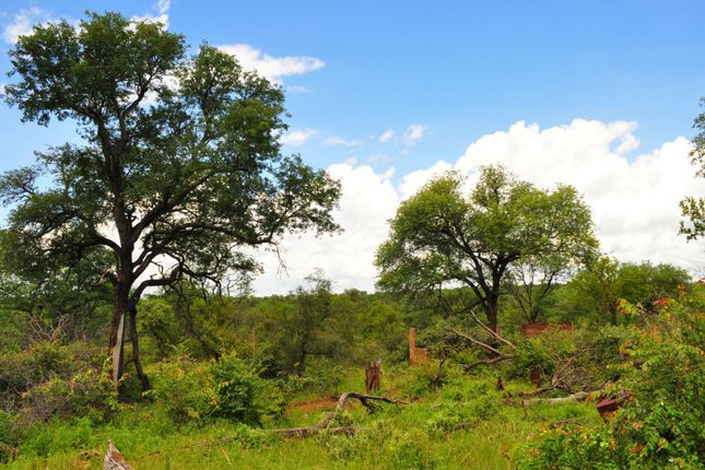 Farm for sale in 1 Buffalo Ranch, 1 Selati Nature Reserve, Selati Game Reserve, Hoedspruit, Limpopo Province, South Africa