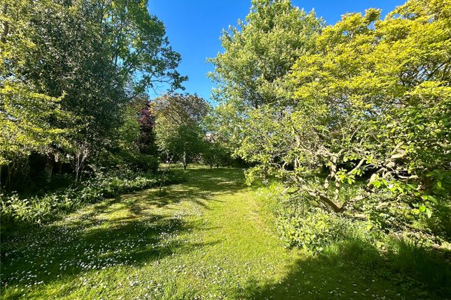 Orchard