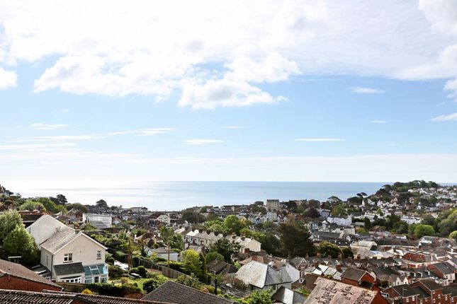 Upper Longlands, Dawlish photo 4
