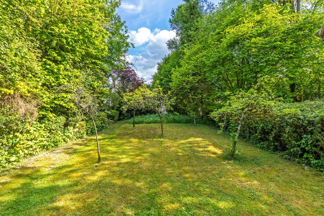 Bay House Deane Down Drove, Winchester photo 4