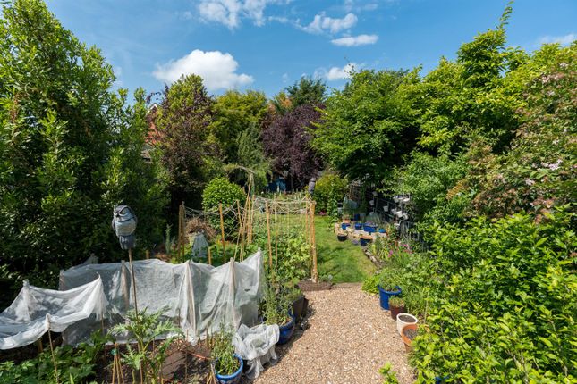521, Earlham Road, Norwich photo 4
