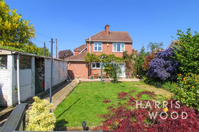 Thumbnail Detached house for sale in Ipswich Road, Colchester, Essex