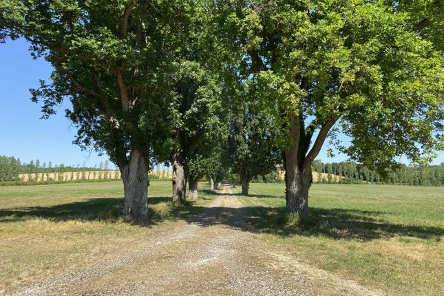 Ch&acirc;teau for sale in Condom, Gers (Auch/Condom), Occitanie