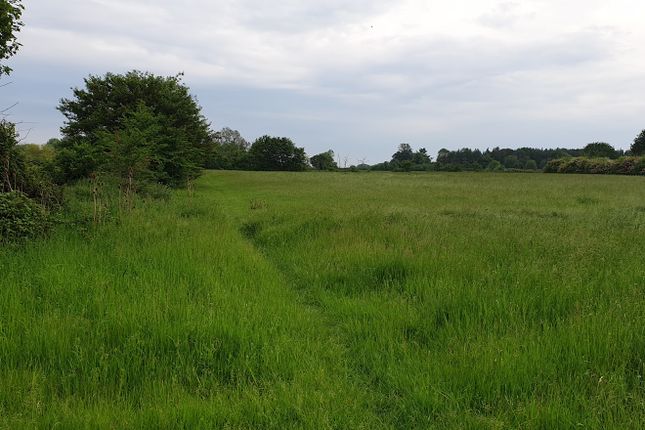 Land for sale in Hall Lane, Diss