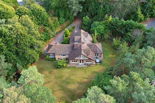 27, Longdown Road, Farnham photo 4