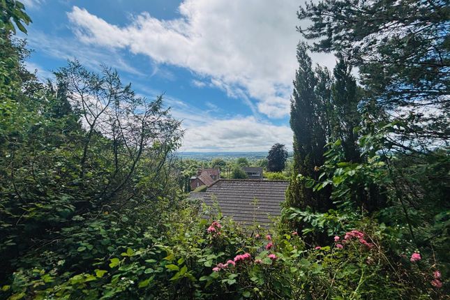 Starmead House, 2, Umbers Hill, Shaftesbury photo 4