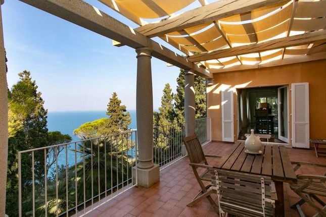 Thumbnail Villa for sale in Toscana, Grosseto, Monte Argentario