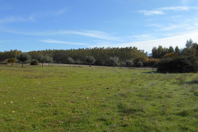 Farm for sale in Castelo Branco, Ladoeiro, Idanha-A-Nova, Castelo Branco, Central Portugal