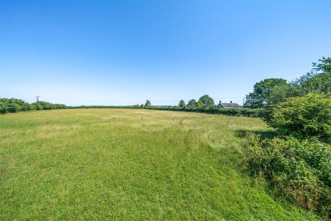 Mistletoe Cottage, Claycastle, Crewkerne photo 3