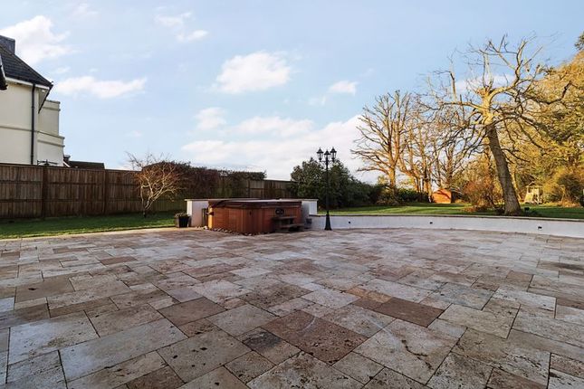 Patio Area