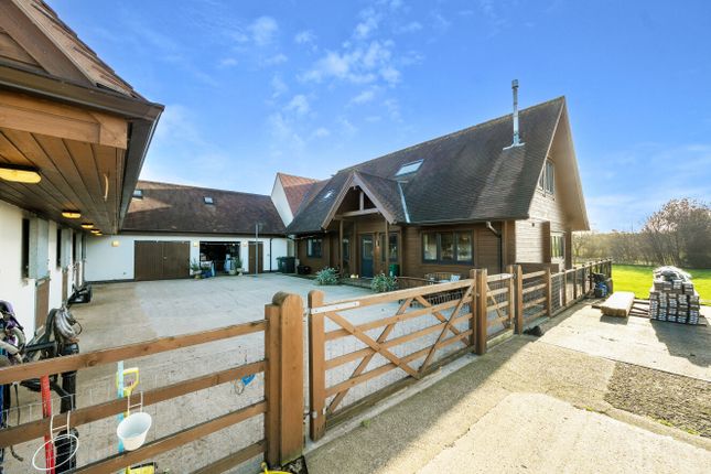 HIGH BARN FARM KENNELS & CATTERY, South Croxton Road, QUENIBOROUGH photo 2