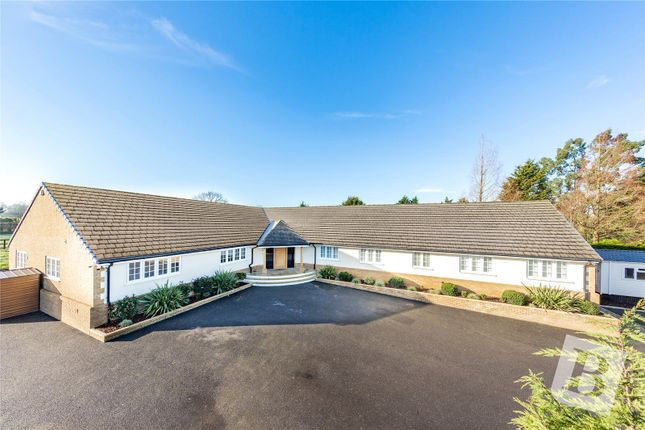 Thumbnail Bungalow for sale in Epping Road, Nazeing, Waltham Abbey, Essex