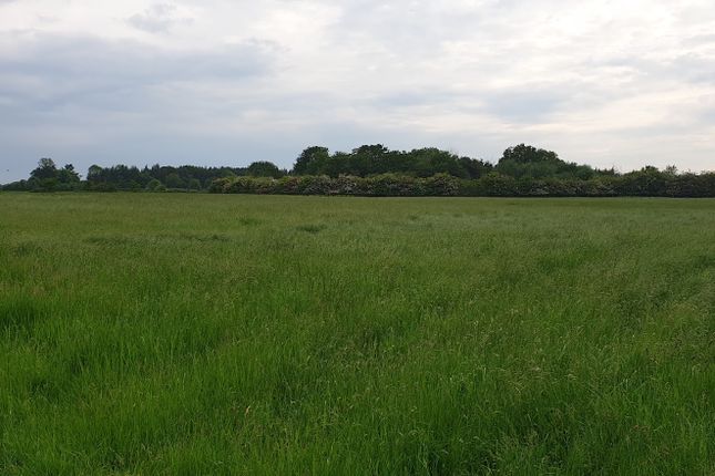 Land for sale in Common Road, Dickleburgh, Dis, Mid Suffolk
