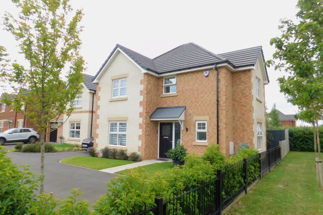 Thumbnail Detached house for sale in Boyle Grove, Spennymoor, County Durham