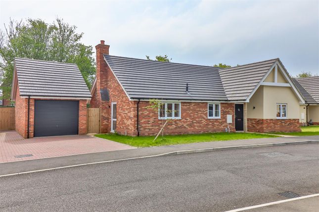 Thumbnail Detached bungalow for sale in Crowcroft Road, Nedging Tye, Ipswich