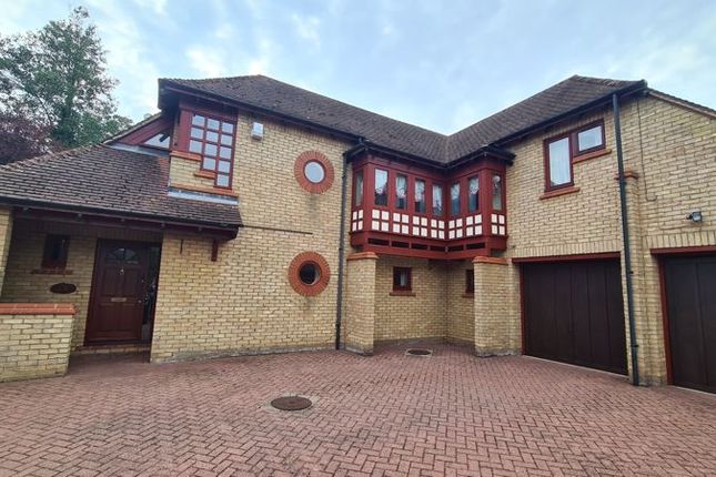 Thumbnail Detached house to rent in Sunningdale, Orton Waterville, Peterborough