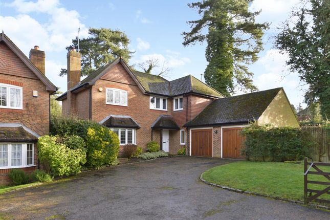Detached house to rent in Aldersey Road, Guildford GU1