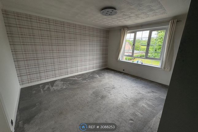 Kirknewton photo 4