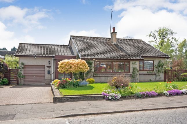 Thumbnail Detached bungalow for sale in Dunure Drive, Newton Mearns, Glasgow