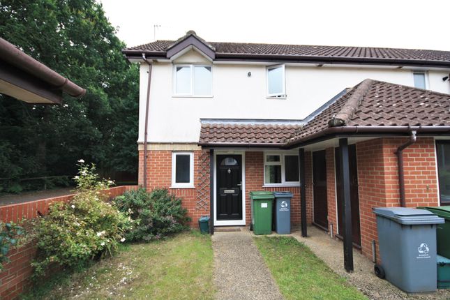 Flat to rent in Mulberry Court, Taverham, Norwich