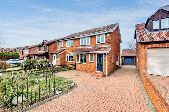 Homes to Let in South Shields - Rent Property in South Shields