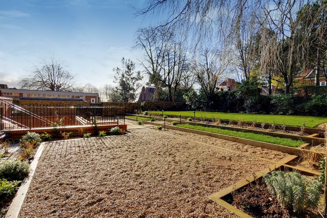 12_Communal Garden-1