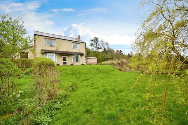 Thumbnail Detached house for sale in Springbank Road, Newfield, Bishop Auckland