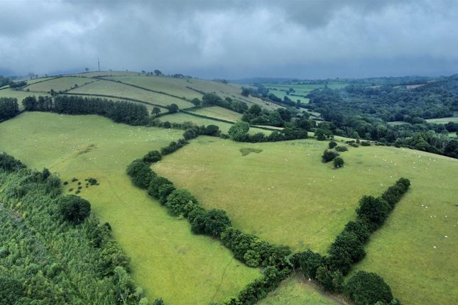 Land at Felindre Uchaf, Lampeter photo 3