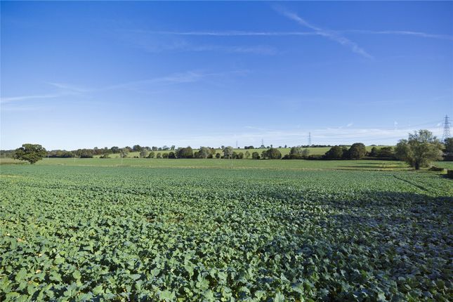 Land for sale in Clavering Hall Farm, Clavering, Saffron Walden, Essex