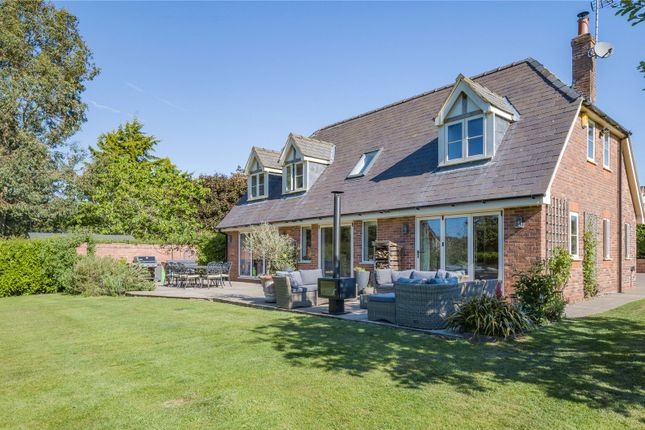 Sidalcea Cottage