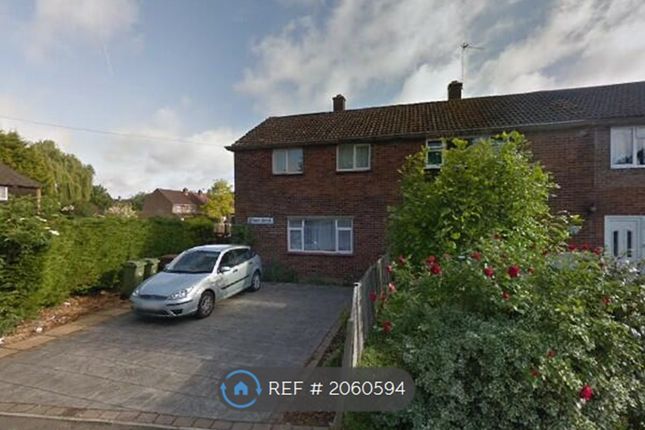 Thumbnail Semi-detached house to rent in Stoney Brook, Guildford