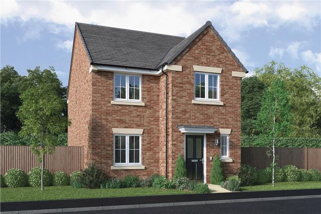 Thumbnail Detached house for sale in "The Blackwood" at Mulberry Rise, Hartlepool