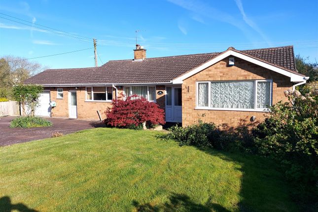 Thumbnail Detached bungalow for sale in The Village, Abberley, Worcester