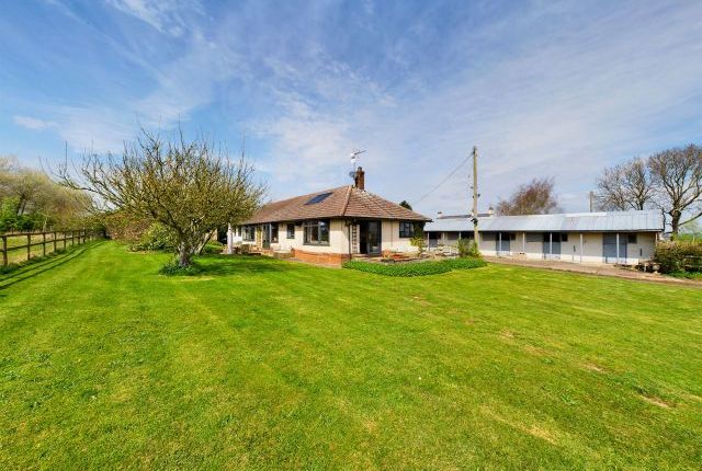 Thumbnail Detached bungalow for sale in Stanford Road, Cold Ashby, Northampton