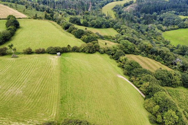 Dji_Fly_20250806_133746_519_1754524496194_Photo_Op