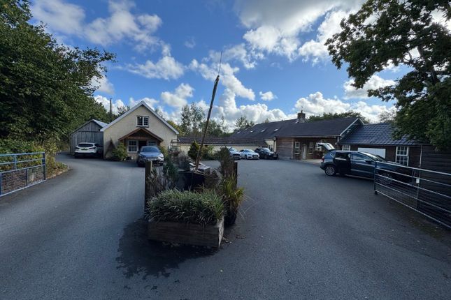 Tynewydd Fields & Cariad Cottage, Cilcennin, Near Aberaeron photo 2