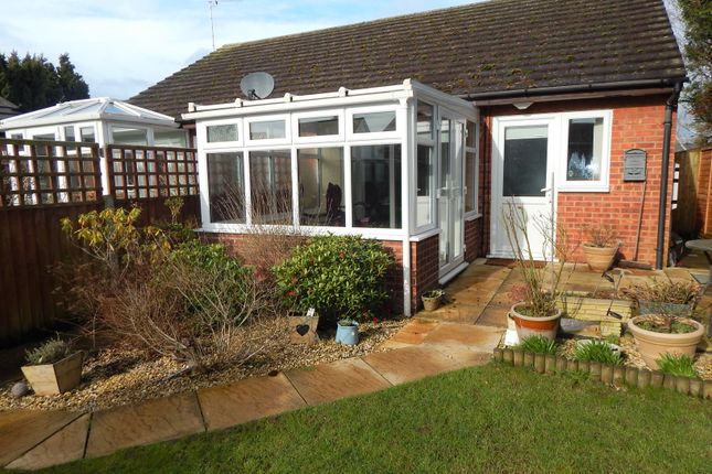 Semi-detached bungalow to rent in Radley Road, Abingdon