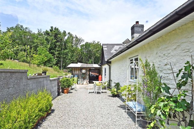 Rear Patio