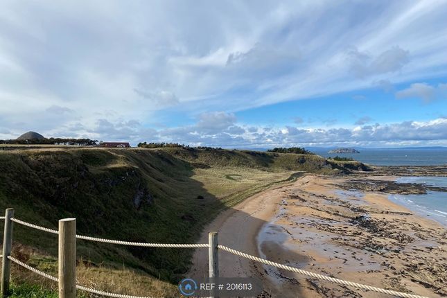 Detached house to rent in Bass Rock View, North Berwick