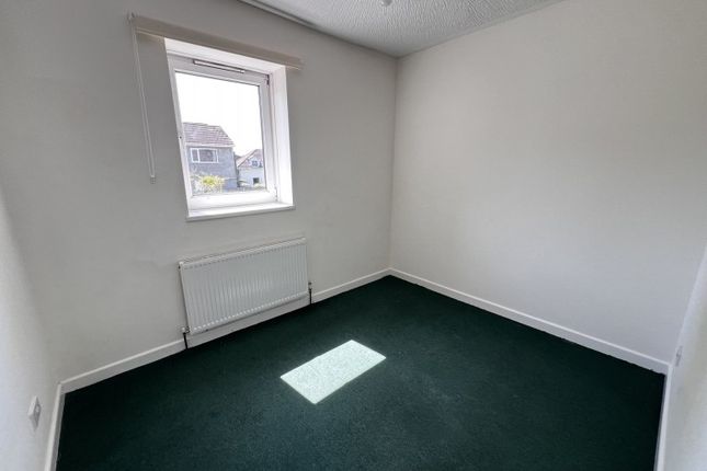 Little Water Street, Carmarthen photo 3