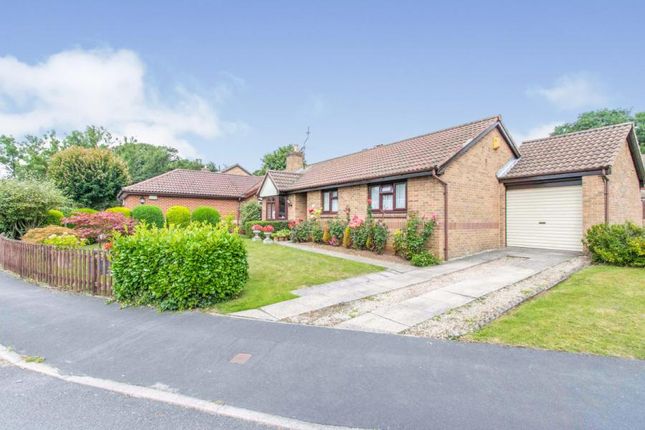 Thumbnail Bungalow for sale in Mayfields, Scawthorpe, Doncaster