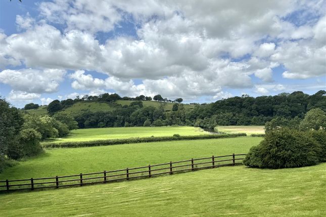 Swyndwr, Maesycrugiau, Maesycrugiau Pencader photo 4
